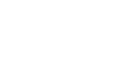 Toro Logo